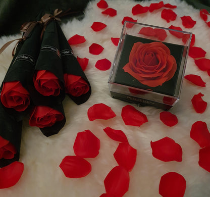 Single Deluxe Rose Box